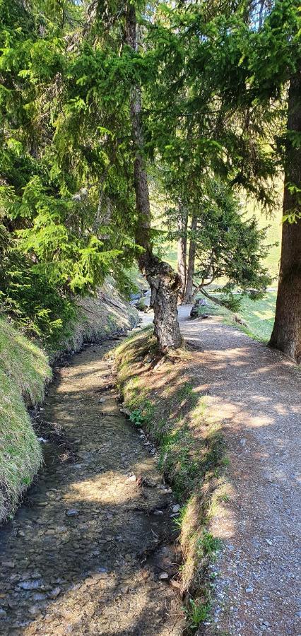 Un Moment De Detente Inoubliable Saillon-Les-Bain エクステリア 写真