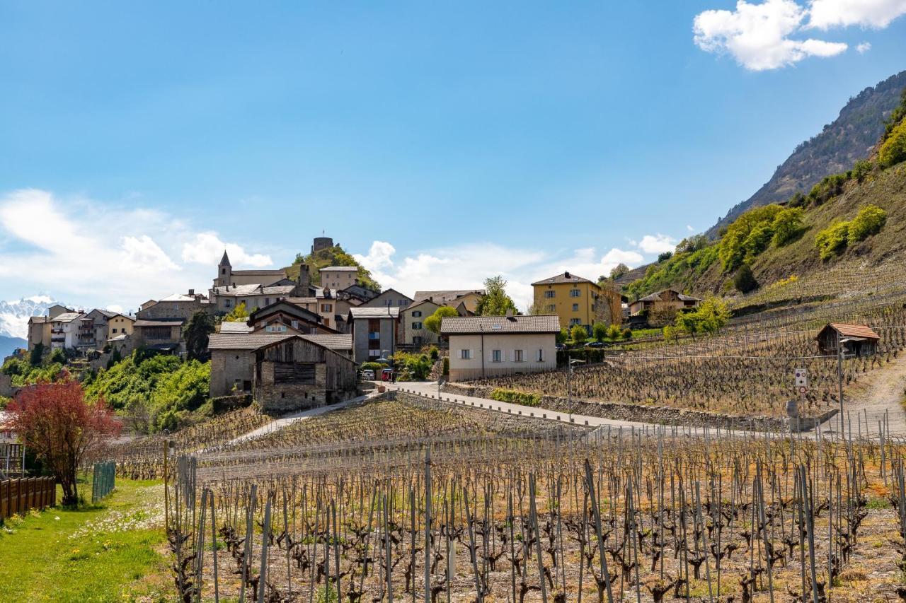 Un Moment De Detente Inoubliable Saillon-Les-Bain エクステリア 写真