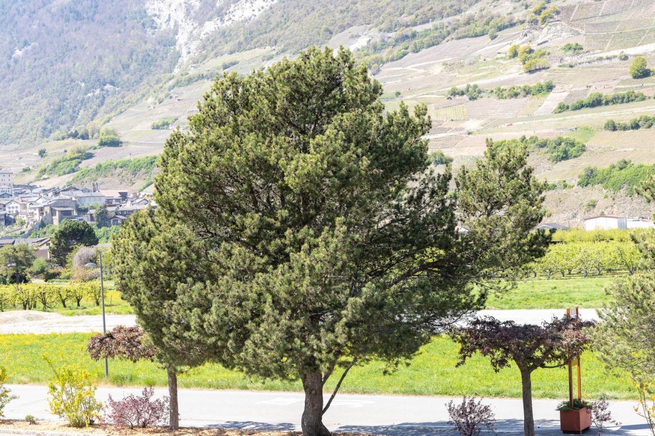 Un Moment De Detente Inoubliable Saillon-Les-Bain エクステリア 写真