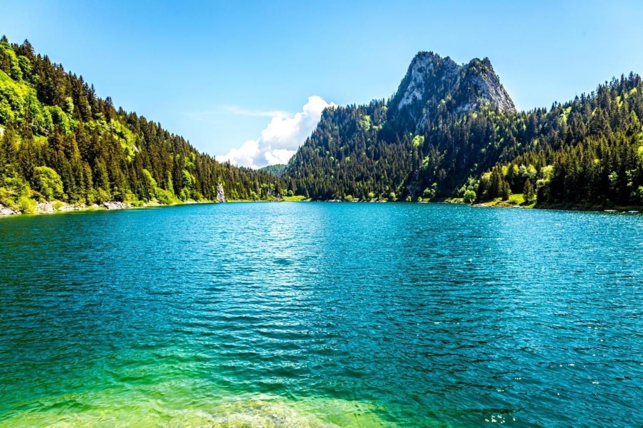 Un Moment De Detente Inoubliable Saillon-Les-Bain エクステリア 写真